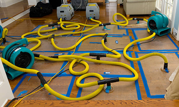 Professional Water Damage Restoration technician working in Brooks, KY